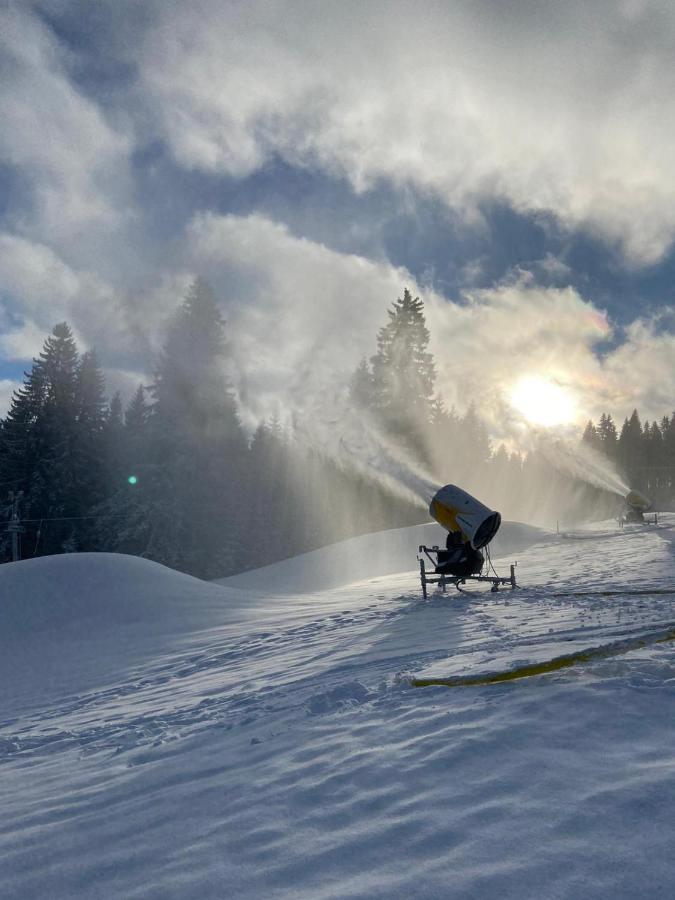 Ubytování Skipot Potucky Exterior foto
